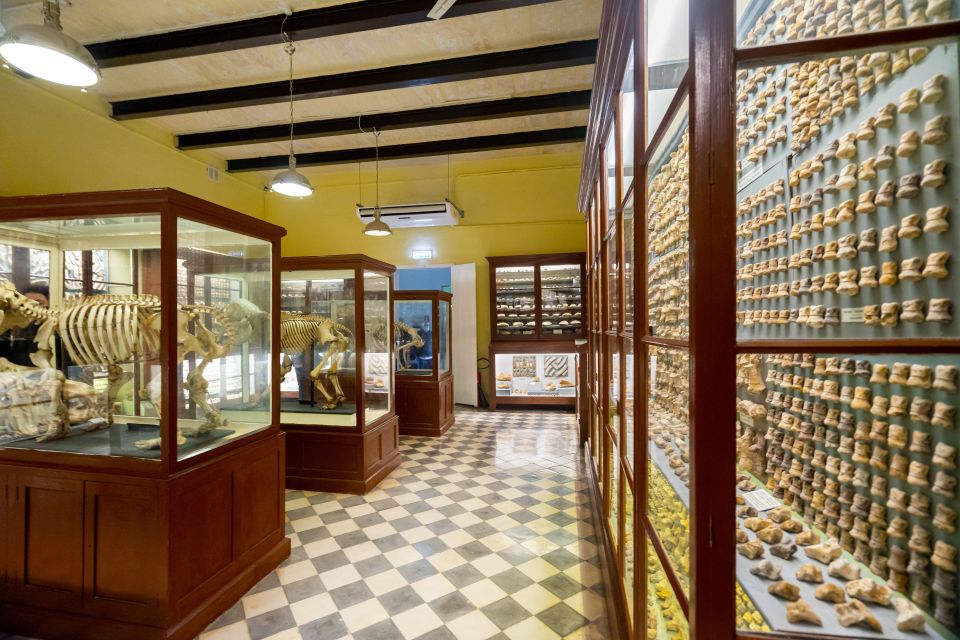 Prehistoric Temples of Malta Tour - How active is it? Your shoe-and-pace check