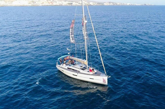 Premium All Inclusive Whale & Dolphin Watching Experience - Yacht Whale Watching From Puerto Colón: What Makes It Feel Premium