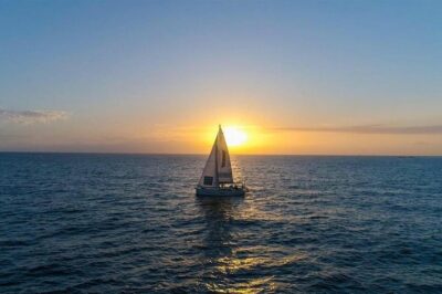 Premium All Inclusive Whale & Dolphin Watching Experience - Small-Group Size Matters: Max 10 Passengers for Better Sightings