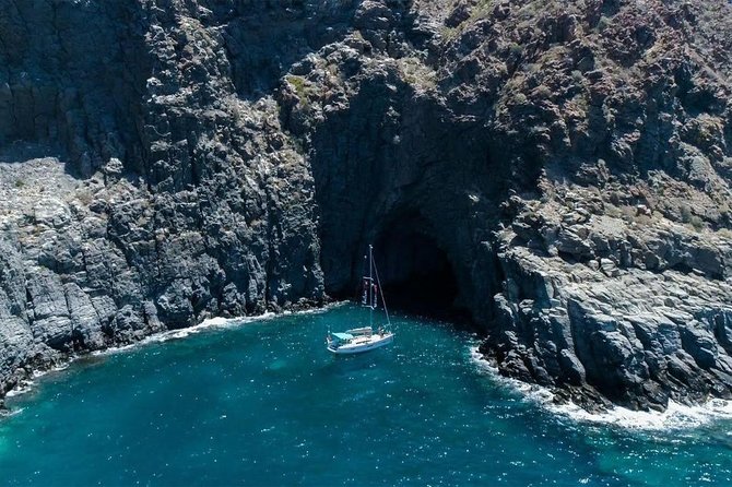Premium All Inclusive Whale & Dolphin Watching Experience - Weather, Waves, and Departure Time: The Stuff You Should Watch