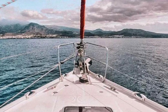 Premium All Inclusive Whale & Dolphin Watching Experience - Price and Logistics: Is $21 Good Value?
