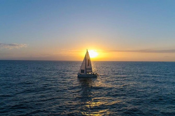 Premium All Inclusive Whale & Dolphin Watching Experience - Small-Group Size Matters: Max 10 Passengers for Better Sightings