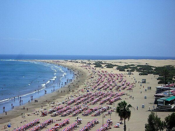 Premium Surf Course in Gran Canaria - What Makes the Teaching Click in Playa del Inglés