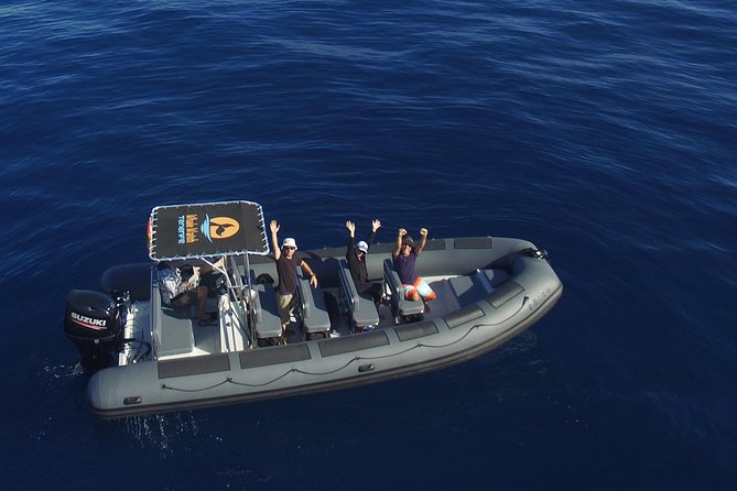 Private 2 hour Whale Watching Tour - Key things that make this tour worth your time