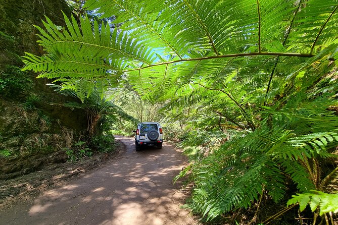 Private 4x4 Jeep Full Day Porto Moniz or Santana - What each kind of stop feels like in real life