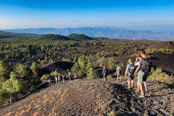 Private and Guided Tour on Etna with Wine Tasting included - Gambino Vini winery: wine tasting with food and km 0 products