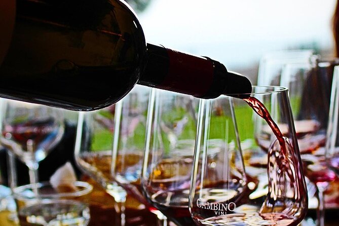 Private and Guided Tour on Etna with Wine Tasting included - Price and value: what you’re paying for (and what costs extra)