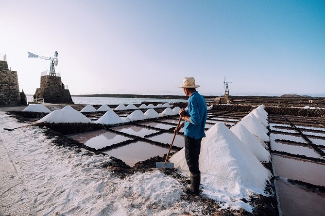 Private and Guided Tour to the Salinas de Janubio with Tasting - Salinas de Janubio: a working salt mine, not a quick photo stop
