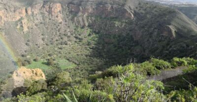 Private Bandama Caldera Volcano, Botanic Garden & Old Town - The Botanical Garden of the Canaries: what you’ll actually see in a guided visit