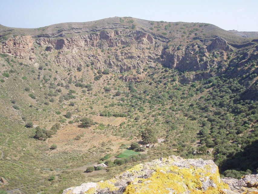 Private Bandama Caldera Volcano, Botanic Garden & Old Town - Price: what $124 buys you (and when it feels like a win)