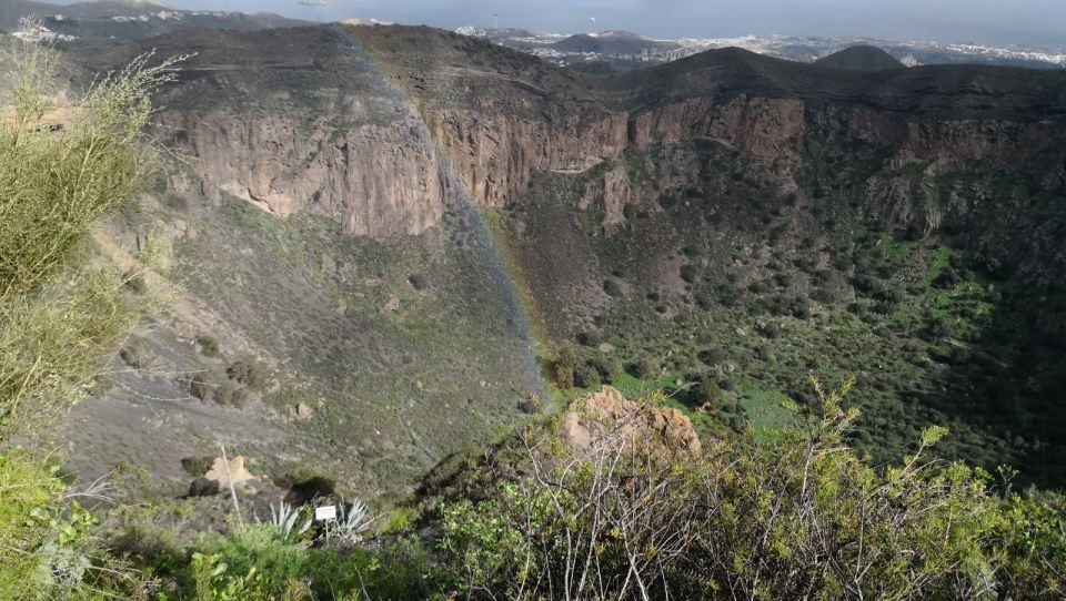 Private Bandama Caldera Volcano, Botanic Garden & Old Town - What the guide experience is like in real life