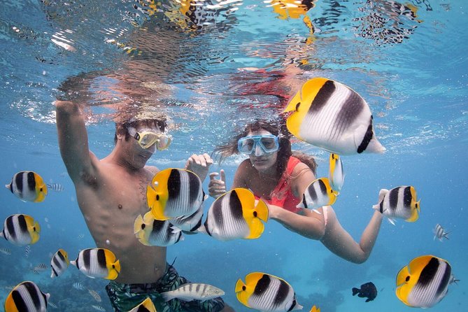 Private Boat Rental on Cap Camarat 17ft - Why this private lagoon cruise matters in Bora Bora