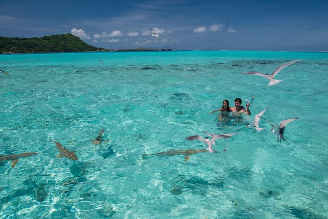 Private Boat Rental on Cap Camarat 17ft - Circle-island cruising and snorkelling spots: a realistic 3-hour flow