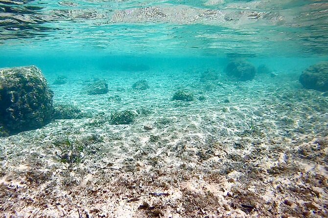 Private Boat Tour from Palma with Snorkeling and Paddle Surfing - Paddle surfing (SUP) for a different kind of fun