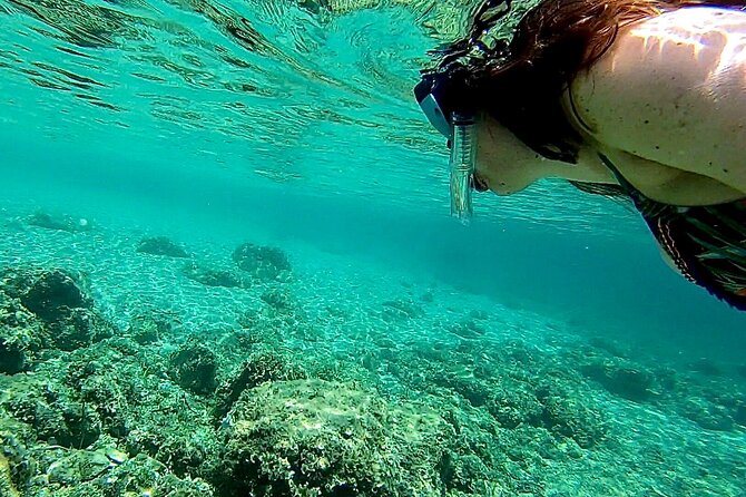 Private Boat Tour from Palma with Snorkeling and Paddle Surfing - Hidden caves and sea-life viewing without the crowds