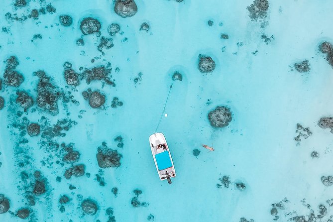 Private Boat Tour of Moorea Lagoon - Price and Value: Is $293.94 Worth It?
