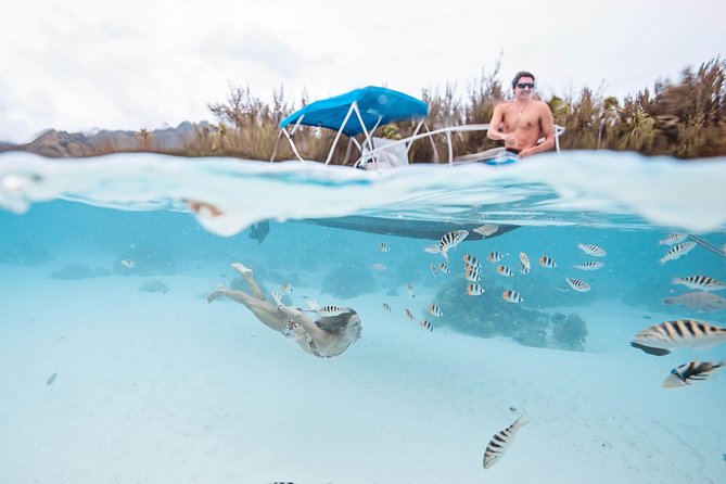 Private Boat Tour of Moorea Lagoon - Weather Rules: When the Lagoon Changes the Plan