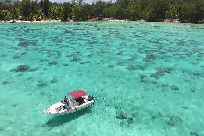 Private Bora Bora Lagoon Experience - Private Lagoon Cruise From Vaitape: What You’re Really Buying