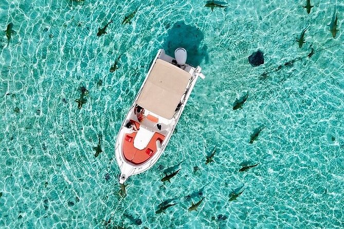 Private Bora Bora Lagoon Experience - Relax Time, Beach Breaks, and Included Drinks Afloat