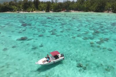 Private Bora Bora Lagoon & Water Lunch Experience - Custom snorkeling stops: how your captain matches the day to you