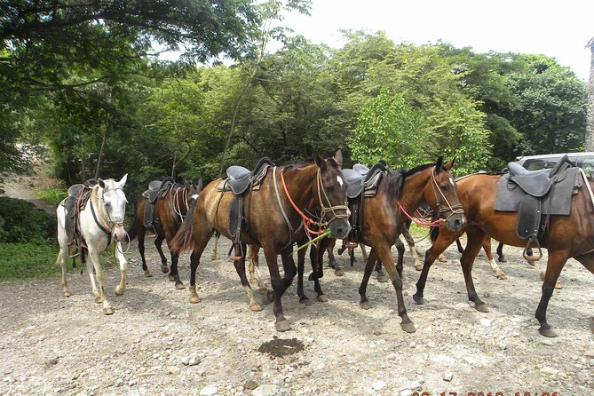 PRIVATE Buena Vista: Zip line, Horseback, Hot Springs + Lunch - Water Slide, Volcanic Mud, Waterfall, Then Hot Springs