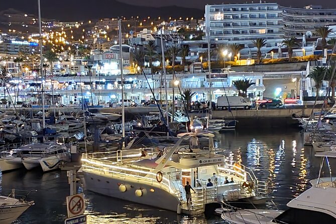 Private Catamaran Charter with Transfer, Buffet and Snorkeling - Sea life viewing: what you might actually see