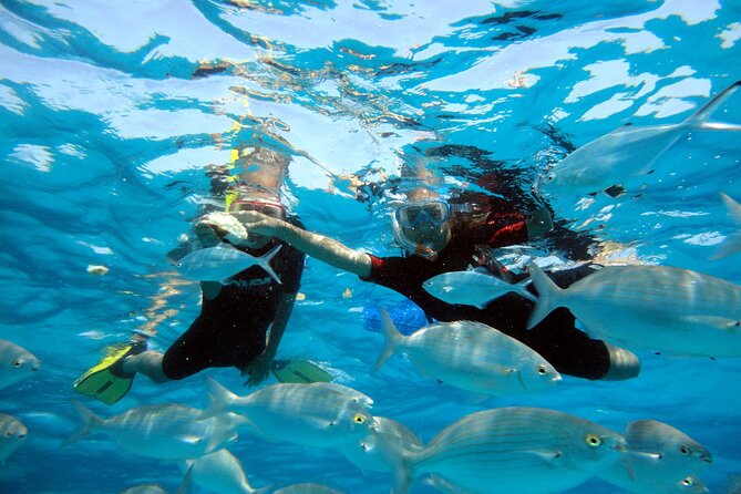 Private Catamaran trips to Lobos Island in Lagoon 400 - Food and drinks: bring-your-own flexibility plus paid lunch options