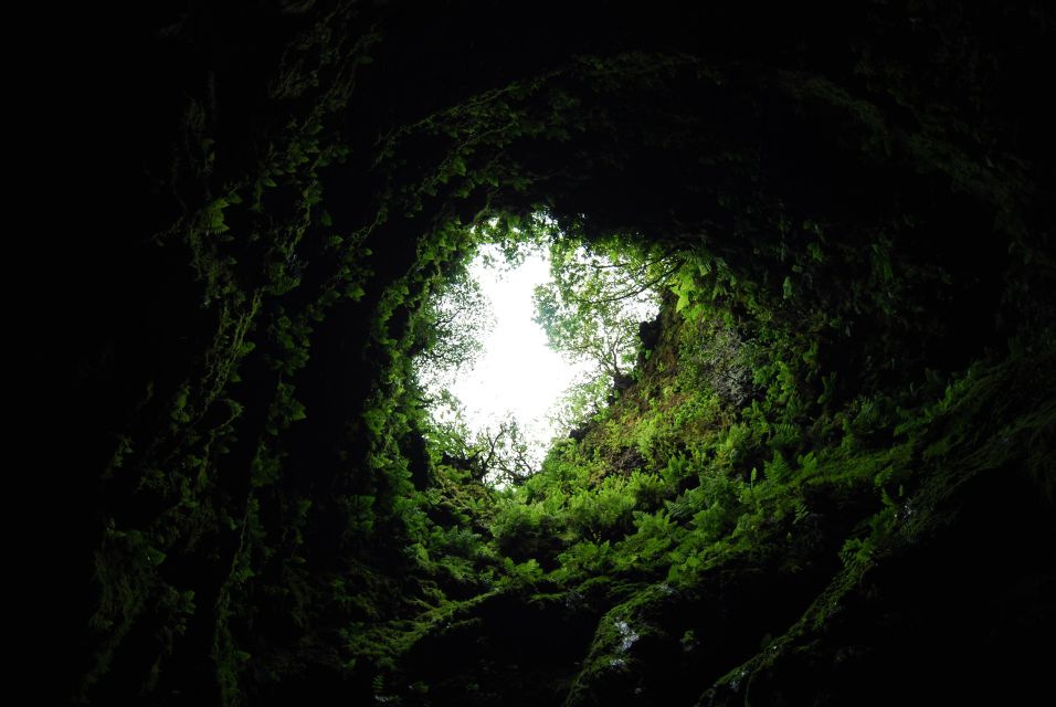 Private Caves tour with a Geologist - Key highlights you’ll feel fast