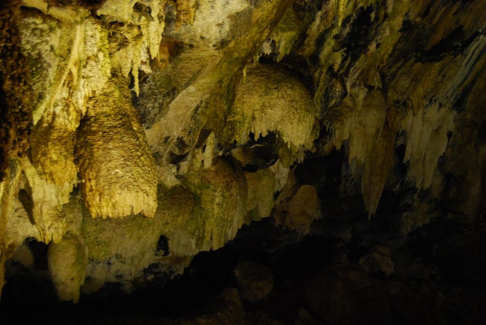 Private Caves tour with a Geologist - Pickup in Angra, then straight into geology mode