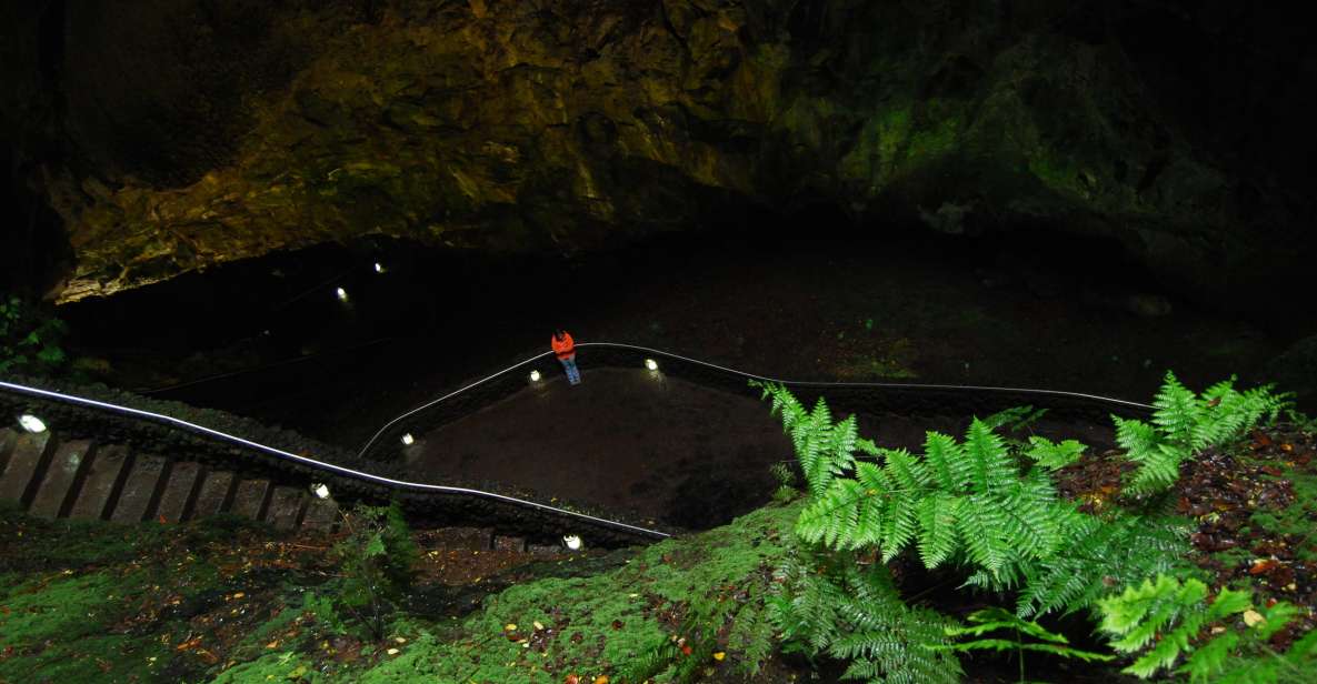 Private Caves tour with a Geologist - Gruta do Natal: the lava tunnel where details start shouting