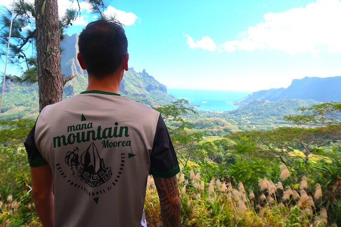Private Day Trip Hike and Boat in Moorea - The ancestor trail hike: pineapple fields, old sites, and the Three Pines