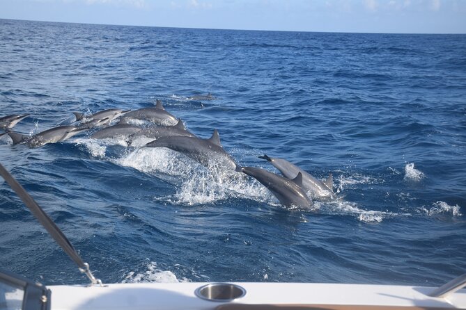 Private Day Trip Hike and Boat in Moorea - Price and value: what $1,822 buys you on a private day