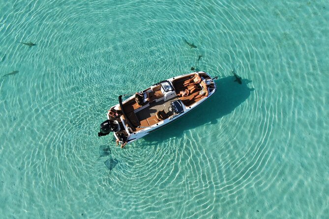 Private Day Trip Hike and Boat in Moorea - Who should book this hike-and-boat Moorea day