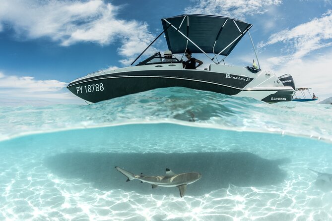 Private Day Trip Hike and Boat in Moorea - Practical tips to pack and plan for an 8-hour day
