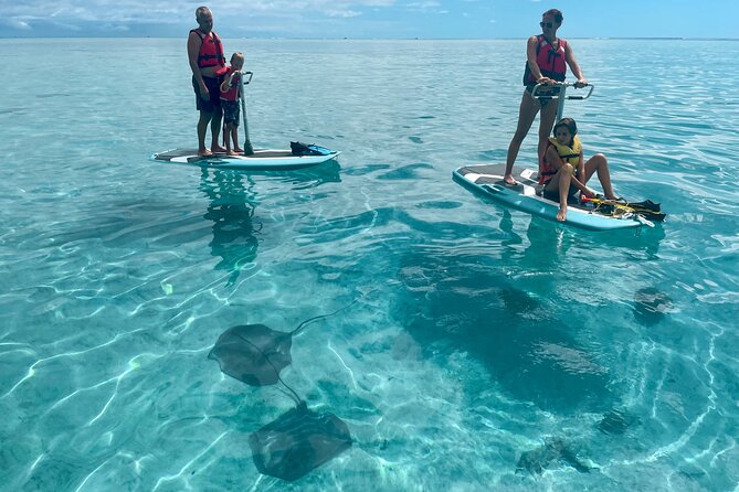 Private Excursion with E-Board in Moorea with snorkeling - Meeting at Maharepa: The First Steps Matter