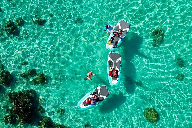 Private Excursion with E-Board in Moorea with snorkeling - How Private Really Feels: Your Pace, Your Group