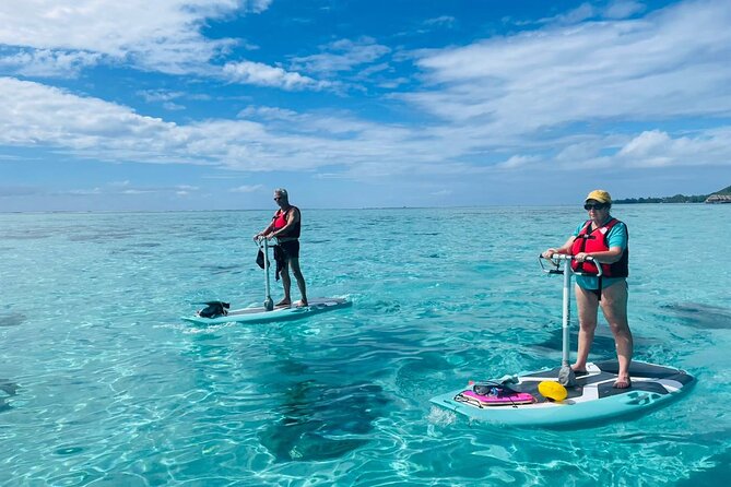 Private Excursion with E-Board in Moorea with snorkeling - The E-Board Experience: Quiet Power, Easy Balance