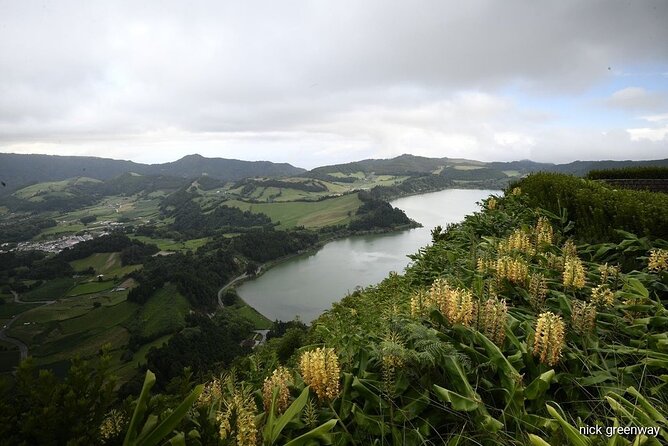Private Full-Day 4x4 Tour to Furnas Volcano - First stop: Chá Gorreana and the scent of real tea