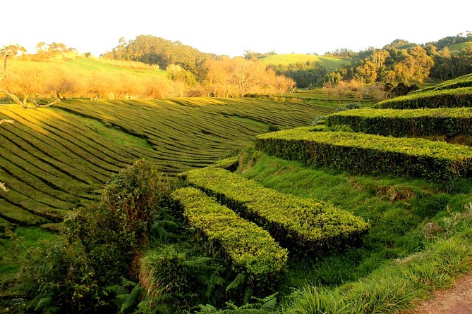 Private Full-Day 4x4 Tour to Furnas Volcano - Caldeira das Furnas: thermal bath time and village fumaroles