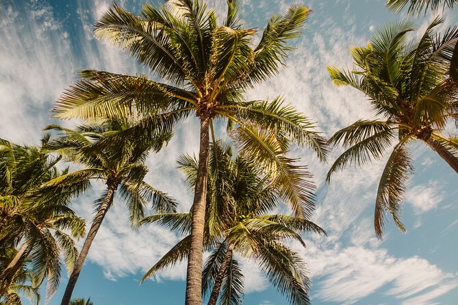 Private Full-Day Lagoon Adventure in Bora Bora with BBQ Lunch - The Motu BBQ Lunch Around 12:30: Food, Setting, and a Real Break