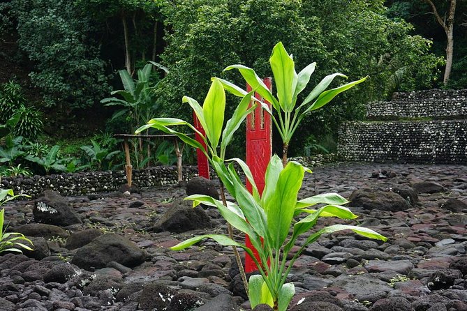 Private Full-Day Tahiti — Grotto, Gardens & Panoramas - Fa’aone twin falls and Faarumai: where the afternoon turns scenic