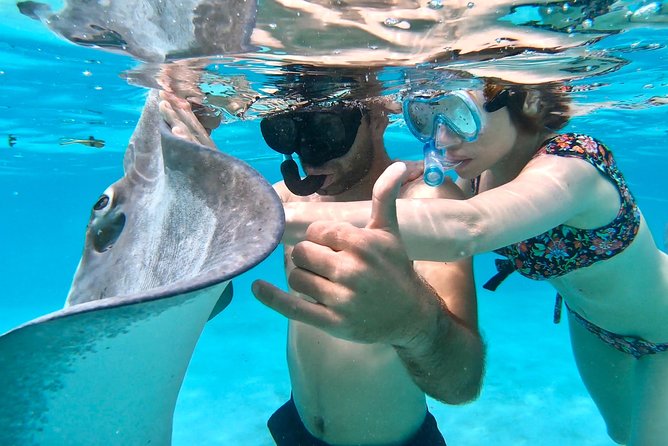 PRIVATE Full Day Tour : Moorea Snorkeling & Sailing on a Catamaran named Taboo - Food, fruits, and the picnic stop: what’s included and what you must plan