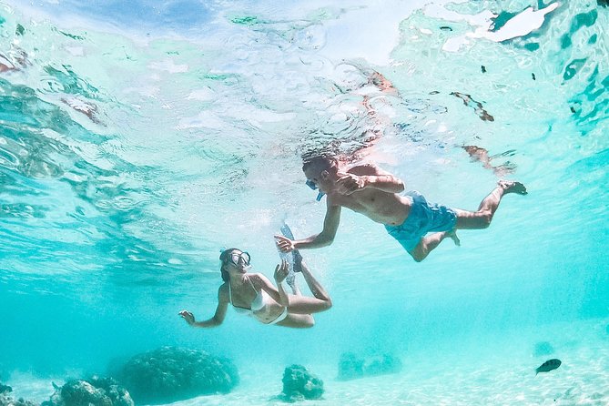 PRIVATE Full Day Tour : Moorea Snorkeling & Sailing on a Catamaran named Taboo - Who should book Taboo for Moorea?