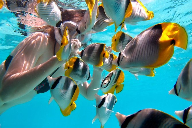 PRIVATE Full Day Tour : Moorea Snorkeling & Sailing on a Catamaran named Taboo - Weather reality and what to do if conditions change