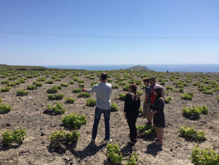 Private Group Visit to Akrotiri & 3 Wineries with Tastings - The Price Question: Is $294 Per Person Good Value?