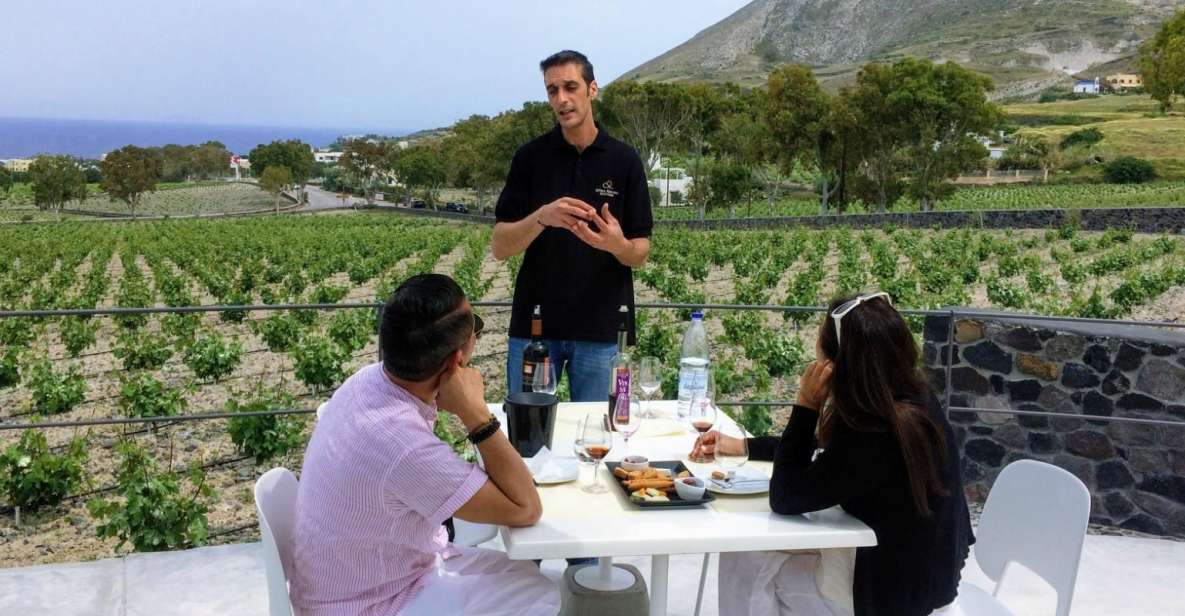 Private Group Visit to Akrotiri & 3 Wineries with Tastings - Who Should Book This Tour (and Who Might Prefer Something Else)
