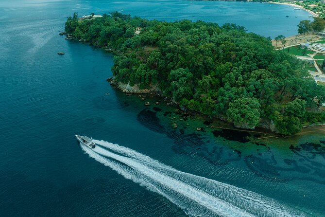 Private Half Day Cruise on a Speed Boat in Corfu island - Price and What Makes This Feel Worth It