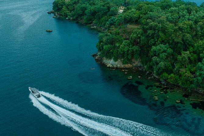 Private Half Day Cruise on a Speed Boat in Mallorca - Snorkeling gear, towels, and what you can do with your water time