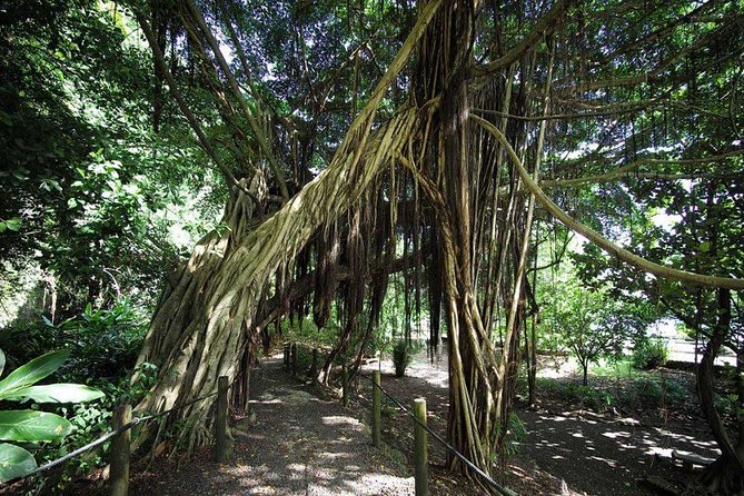 Private Island Tour ( 5 HOURS) - Stop 5: The Water Gardens of Vaipahi for plant lovers and casual walkers