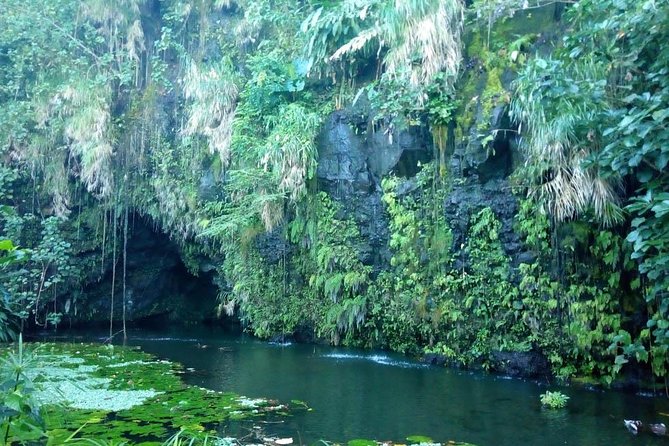 Private Island Tour ( 5 HOURS) - Stop 6: Point Venus and James Cook’s first-voyage connection